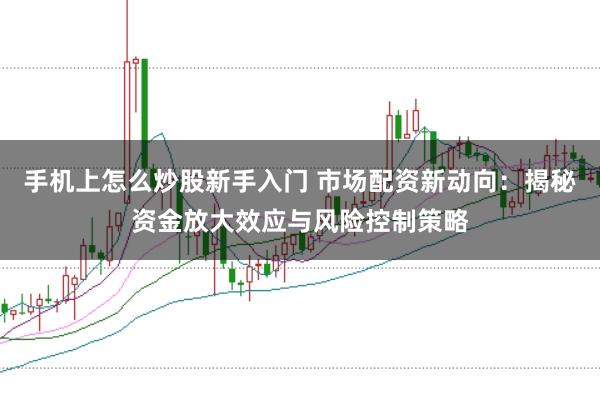 手机上怎么炒股新手入门 市场配资新动向：揭秘资金放大效应与风险控制策略
