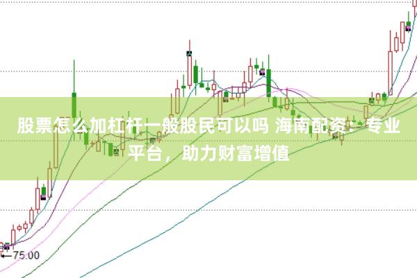 股票怎么加杠杆一般股民可以吗 海南配资：专业平台，助力财富增值