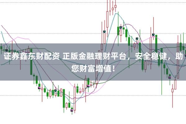 证券鑫东财配资 正版金融理财平台，安全稳健，助您财富增值！