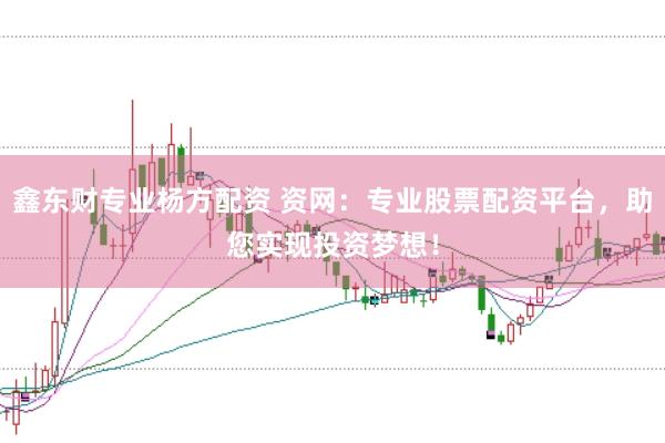 鑫东财专业杨方配资 资网：专业股票配资平台，助您实现投资梦想！