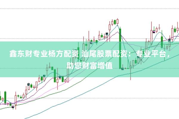 鑫东财专业杨方配资 汕尾股票配资：专业平台，助您财富增值