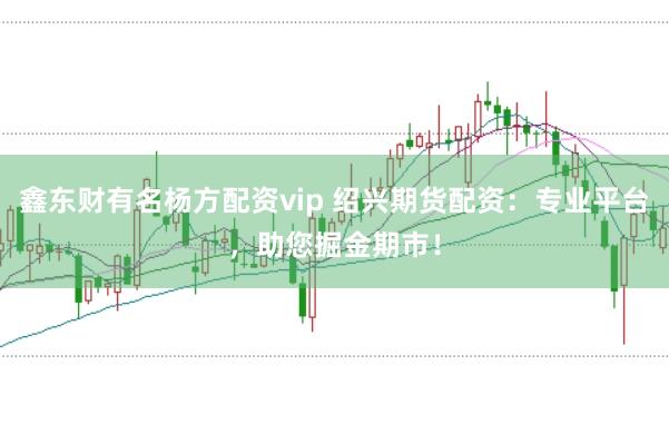 鑫东财有名杨方配资vip 绍兴期货配资：专业平台，助您掘金期市！