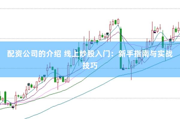 配资公司的介绍 线上炒股入门：新手指南与实战技巧