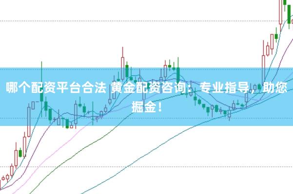 哪个配资平台合法 黄金配资咨询：专业指导，助您掘金！