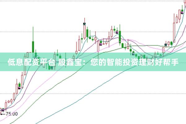 低息配资平台 股鑫宝：您的智能投资理财好帮手