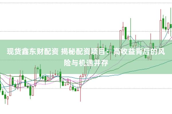 现货鑫东财配资 揭秘配资项目：高收益背后的风险与机遇并存