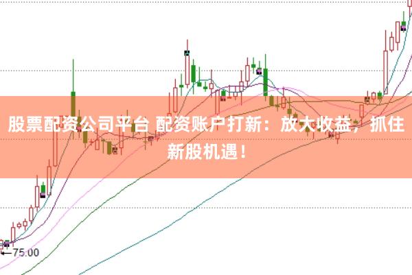 股票配资公司平台 配资账户打新：放大收益，抓住新股机遇！
