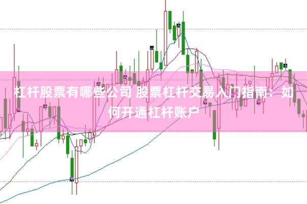 杠杆股票有哪些公司 股票杠杆交易入门指南：如何开通杠杆账户