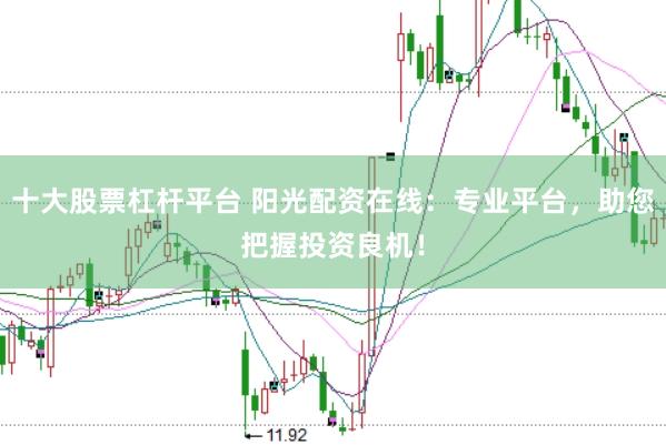 十大股票杠杆平台 阳光配资在线：专业平台，助您把握投资良机！