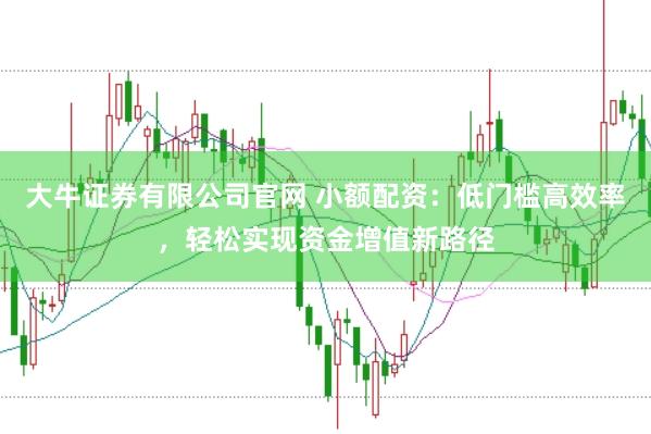 大牛证券有限公司官网 小额配资：低门槛高效率，轻松实现资金增值新路径