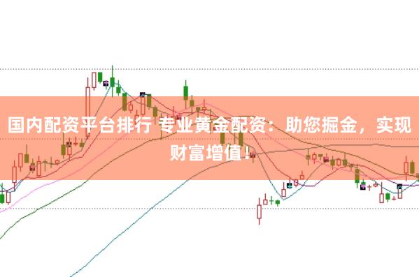 国内配资平台排行 专业黄金配资：助您掘金，实现财富增值！