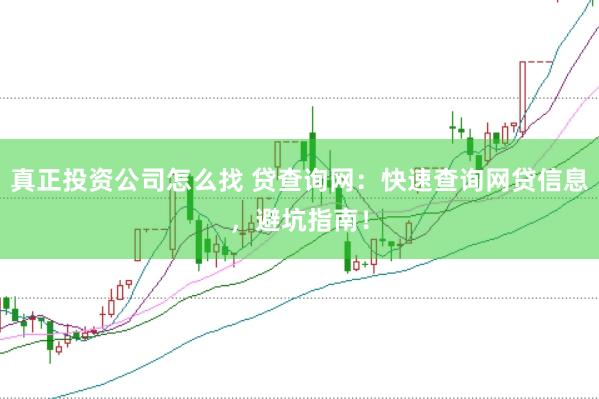 真正投资公司怎么找 贷查询网：快速查询网贷信息，避坑指南！