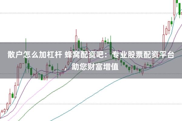 散户怎么加杠杆 蜂窝配资吧：专业股票配资平台，助您财富增值