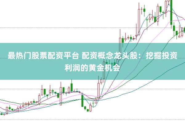 最热门股票配资平台 配资概念龙头股：挖掘投资利润的黄金机会